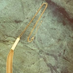 Gold and shimmering sliver necklace.